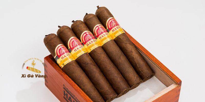 Người mới có thể hút xì gà Việt thường xuyên hơn.